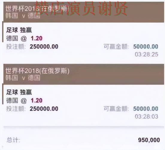 世界杯买球平台解析报告：高清直播+直播与实际体验总结 - 世界杯全球总决赛